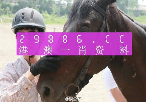 澳门一肖一码准造今晚_放松心情的绝佳选择_GM版v52.43.72