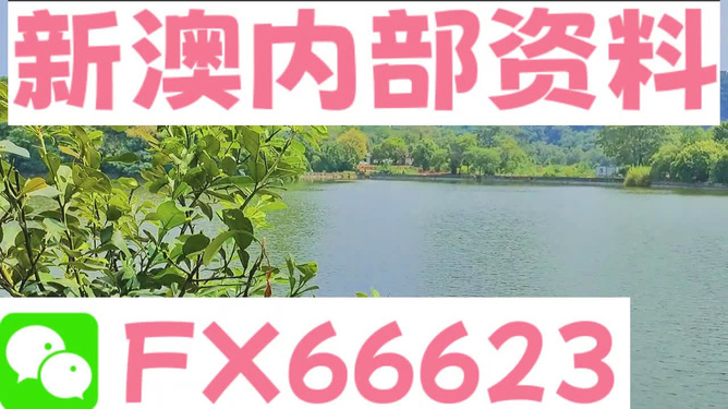 新澳2o24年精准资料期期_放松心情的绝佳选择_主页版v315.730