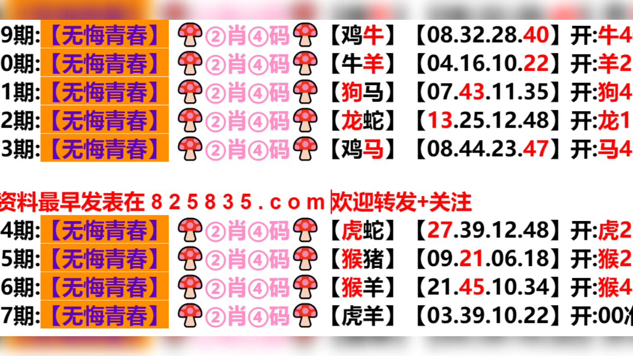 新奥2024一肖一码_精选解释落实将深度解析_3DM87.92.07