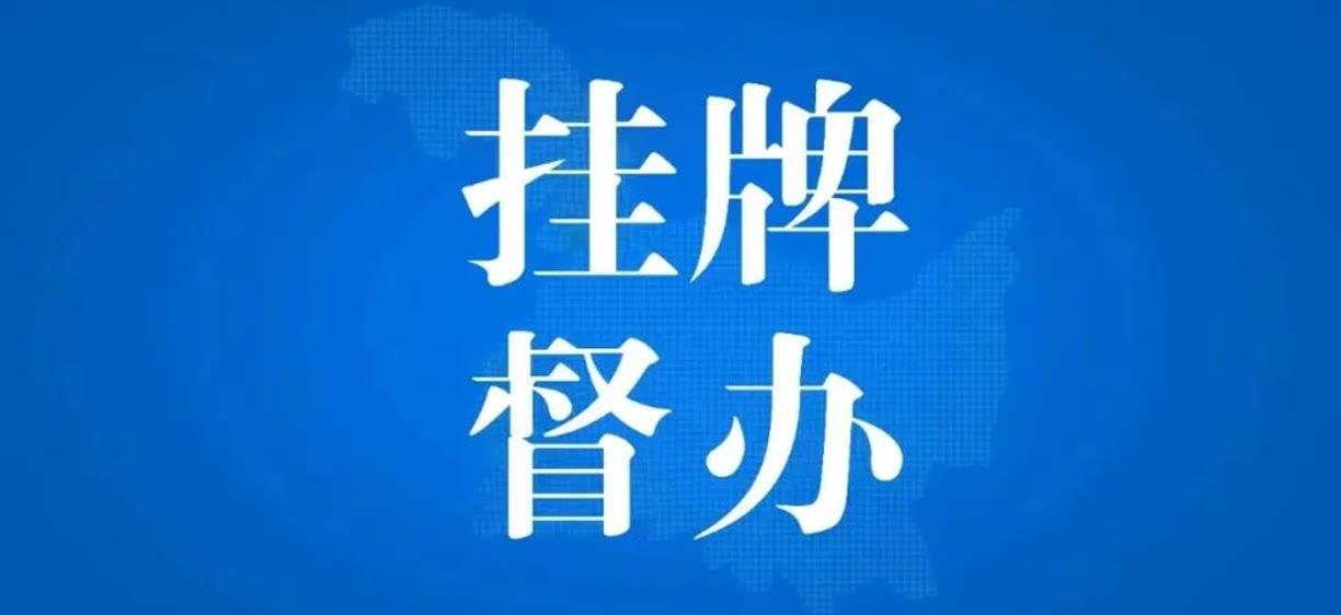 2024新澳门正版挂牌_作答解释落实_手机版450.980