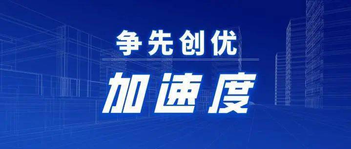 揭秘新澳精准资料免费提供_良心企业，值得支持_V12.39.26