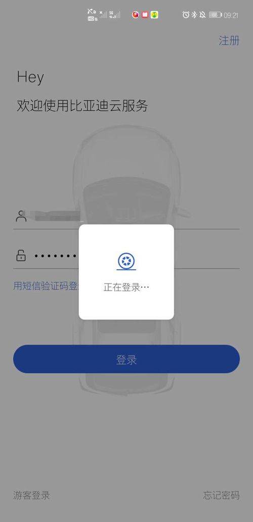 App崩溃无法开车？比亚迪：云服务系统异常所致，已恢复正常|界面新闻 · 快讯